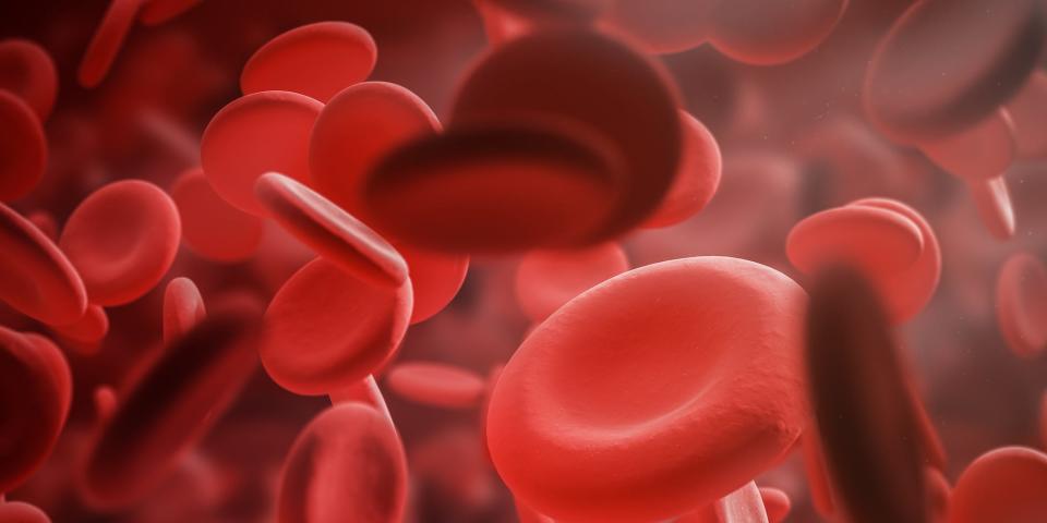 An illustration shows blood cells in floating in the blood.
