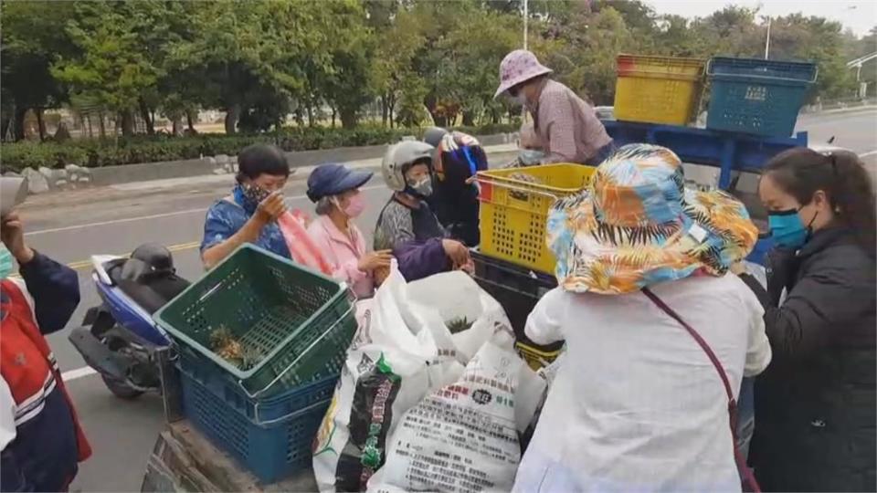 先別急買！鳳梨月底才盛產 高市議員秀廚藝PK鳳梨料理