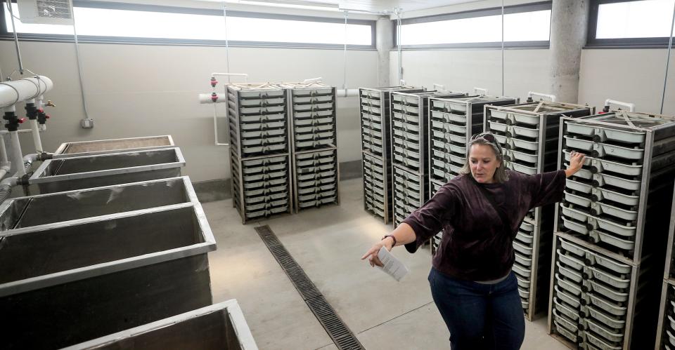 Project manager Abigail Welch talks about the workings of the egg room of the Little Boston Fish Hatchery at Port Gamble S'Klallam Tribe’s Point Julia on Tuesday, Sept. 5, 2023.