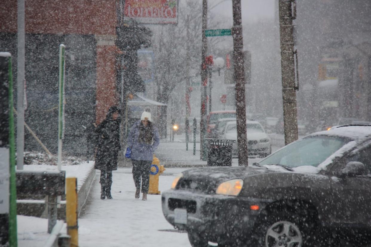 Snowfall is seen in a 2023 file photo. (Mike Evans/CBC - image credit)