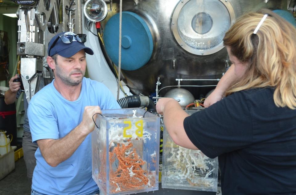 &nbsp;Deep-sea ecologist Erik Cordes, chief scientist of project Deep Search, unloads corals from a submersible aboard the research vessel Atlantis&nbsp;on Thursday. A team of scientists is currently exploring uncharted canyons, gas seeps and coral ecosystems off the Atlantic coast. (Photo: Chris DAngelo/HuffPost)