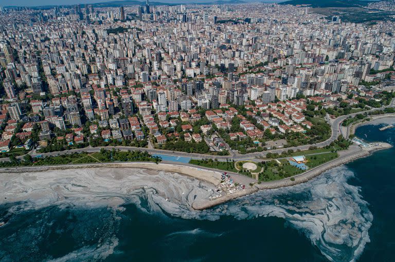 La costa de Estambul invadida por el mucílago