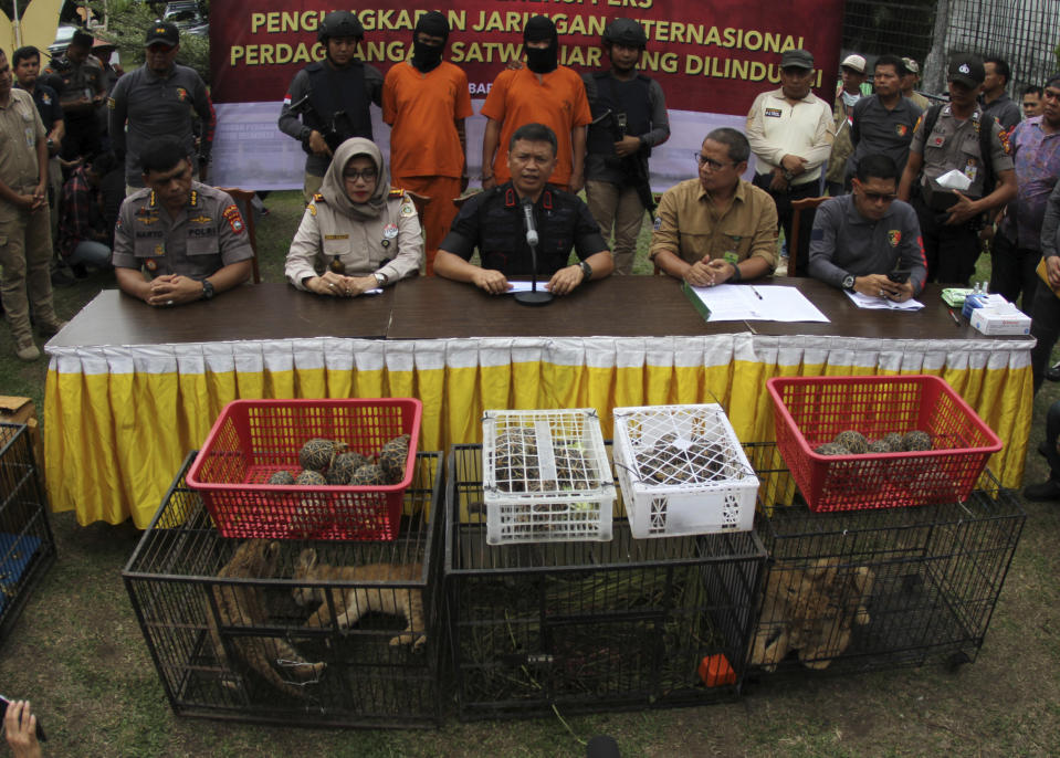 Riau Police Chief Maj. Gen. Agung Setya, center, speaks to the media as smuggled animals, including lion and leopard cubs are displayed during a press conference in Kampar, Riau, Indonesia, Sunday, Dec. 15, 2019. Indonesian police said Sunday that they have arrested two men suspected being part of a ring that poaches and trades in endangered animals and seized from them lion and leopard cubs and dozens of turtle, police said Sunday. (AP Photo/Rifka Majjid)