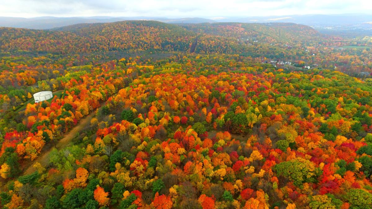 The peak foliage in the southern tier will be here sooner than you think