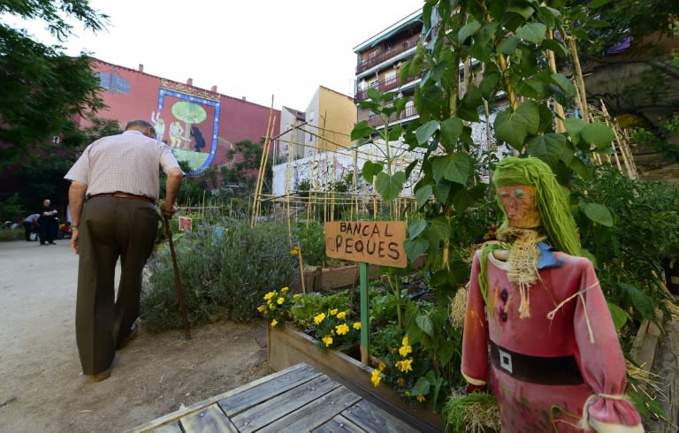 An elderly man walks through the community garden "Esta es una Plaza" (This one is a Plaza) in Madrid, on June 17, 2015