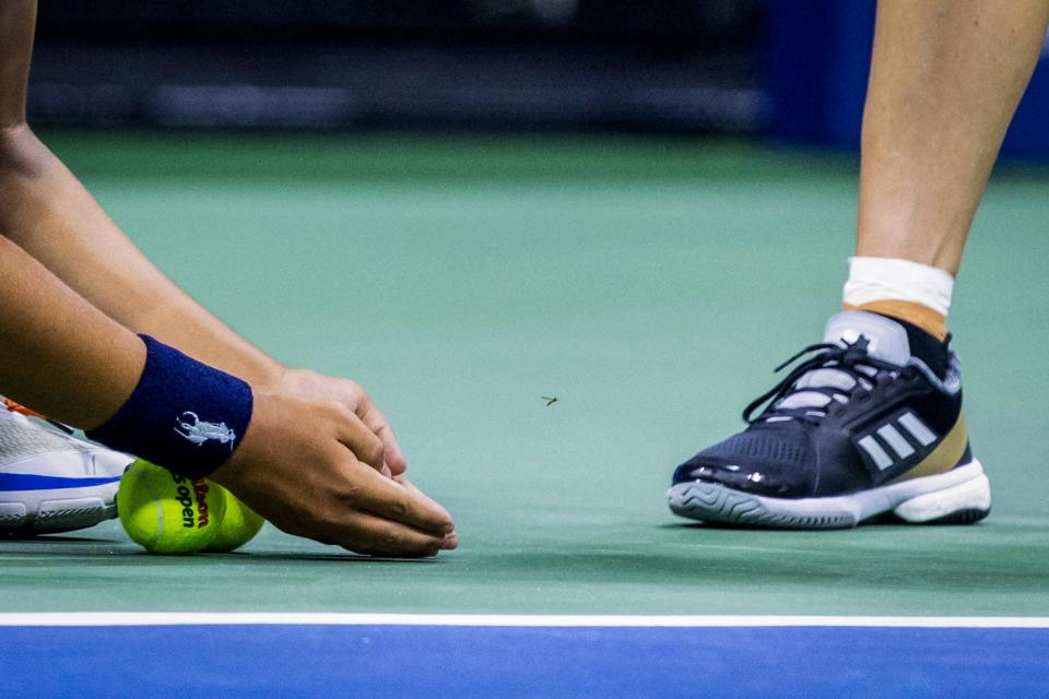 A US Open ball person attempts to remove a bug as Collins prepares to serve.