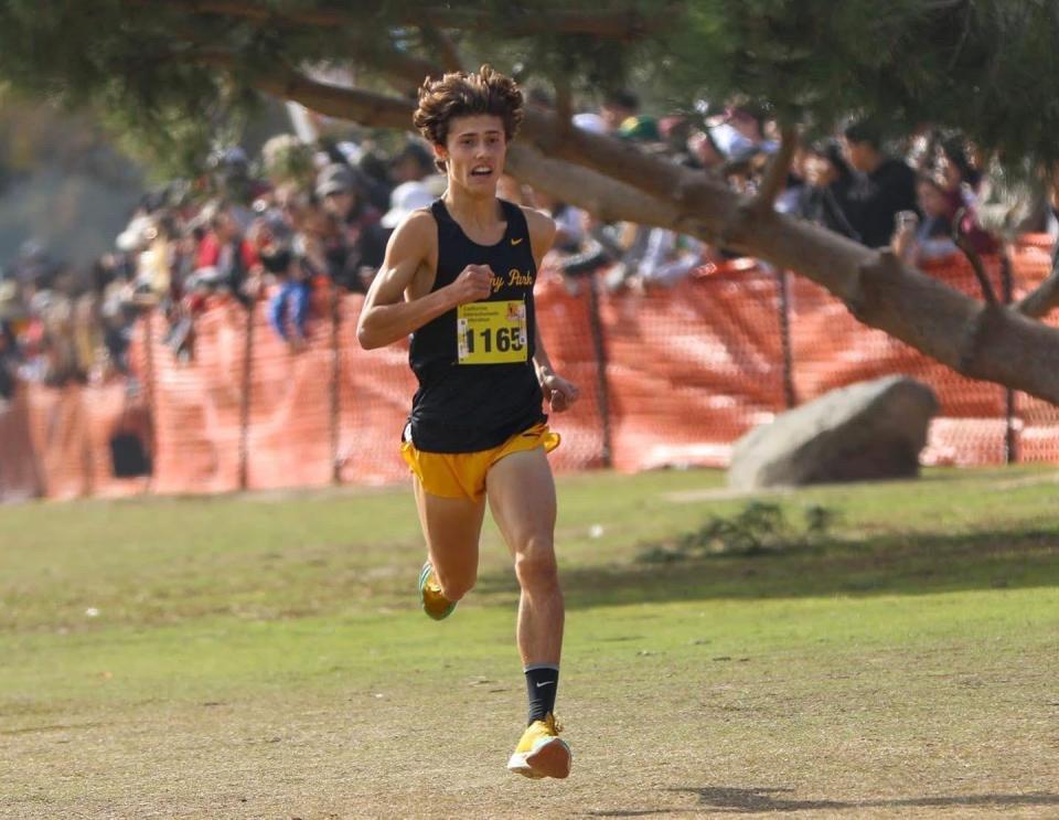 Newbury Park senior Lex Young won the Division 2 state title at the CIF-State cross country championships Saturday at Woodward Park in Fresno.