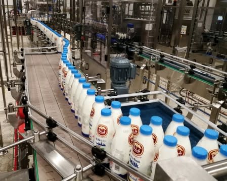 Bottles of milk on the production line at a dairy factory at Baladna farm in the city of Al-Khor