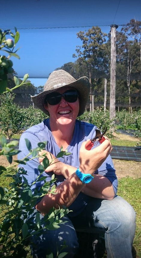 Photo: Facebook/Woolgoolga Blueberries