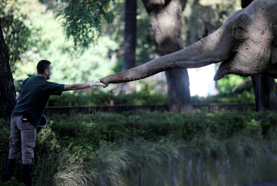 (Photo: Agustin Marcarian/REUTERS)