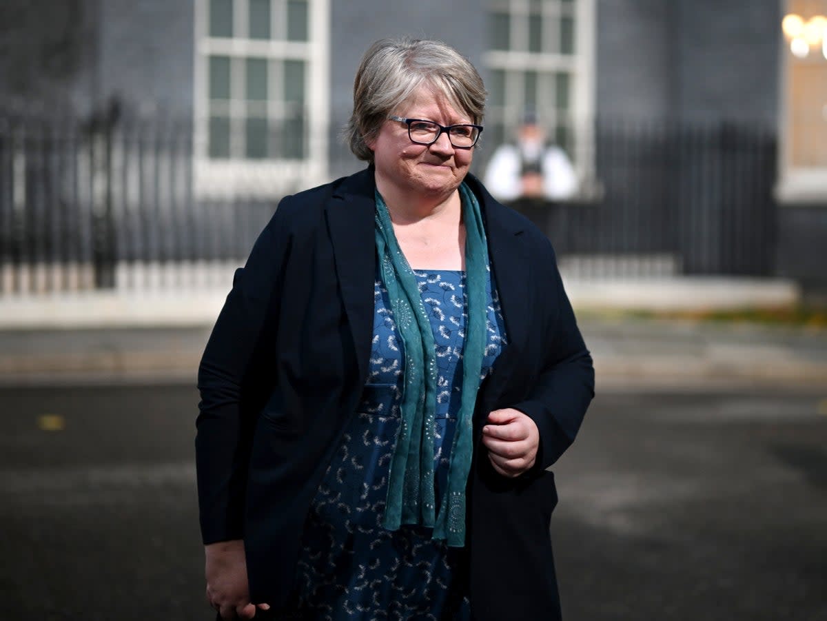 The UK’s fifth environment minister in three years, Therese Coffey (Getty)