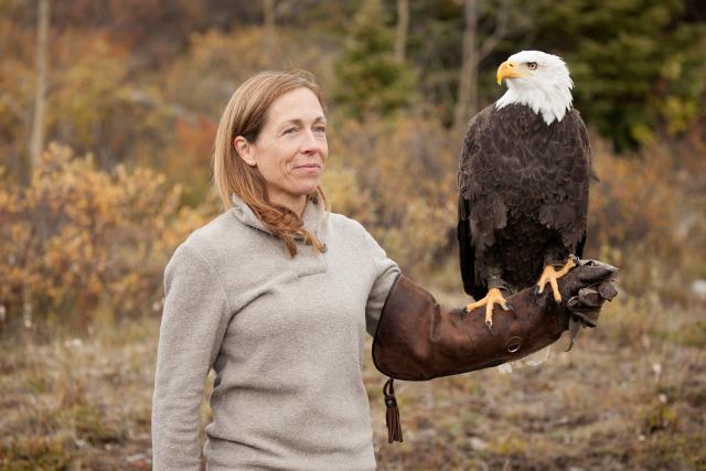 This Yukon Vet's Day Job Includes Life-Or-Death Animal Encounters You  Wouldn't Believe