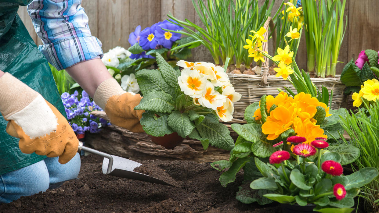 landscaping flowers