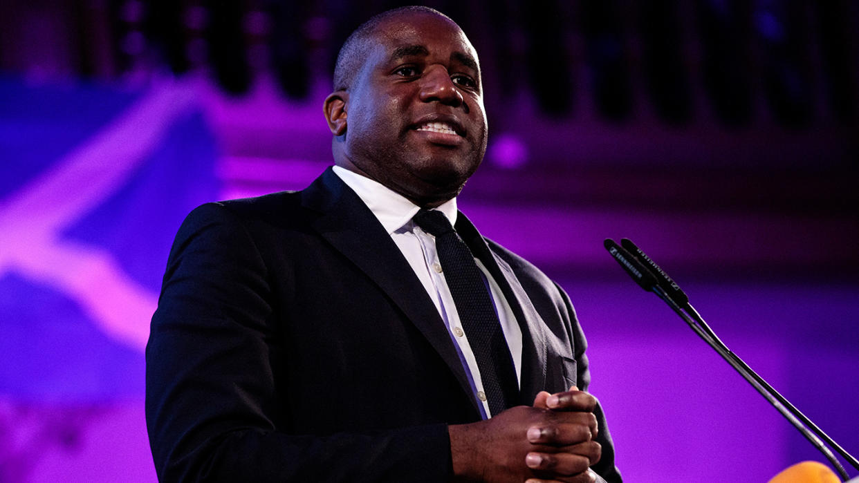 David Lammy, who was born and bred in Tottenham, said he's been accused of hating Britain (Image: Getty Images)