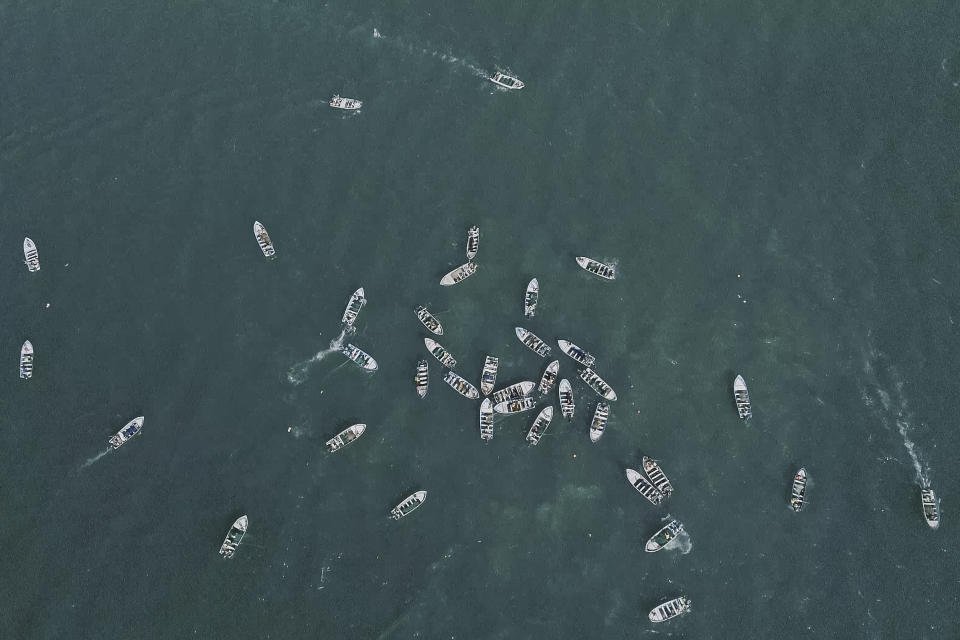 Fotografía del 8 de diciembre de 2019 publicada por la Sociedad Conservadora Sea Shepherd de pescadores capturando al pez totoaba en el Golfo de California cerca de San Felipe, México. (Sea Shepherd vía AP)