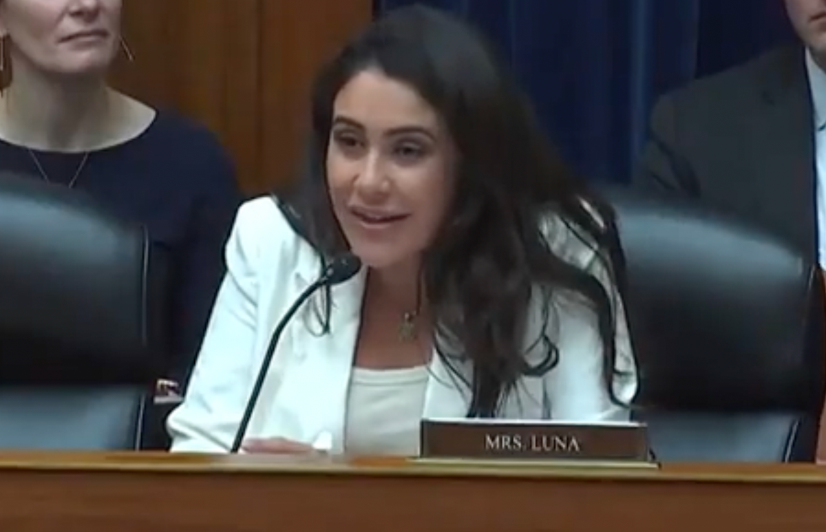 Rep Anna Paulina Luna of Florida addresses a witness in the House subcommittee on Health Care and Financial Services (@Acyn/Twitter)