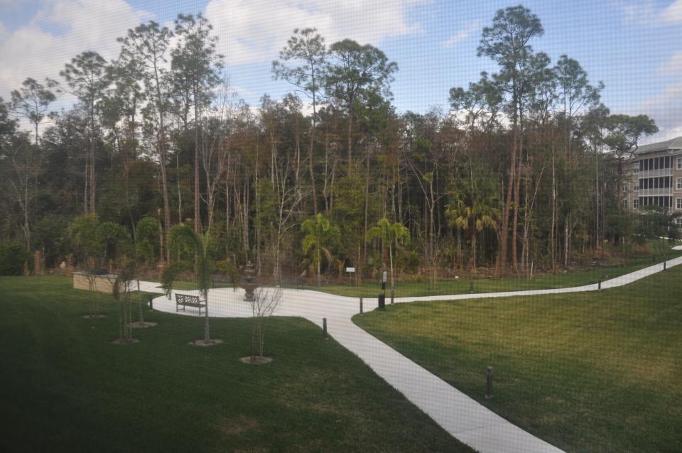 All the apartments have views of a park or preserve.