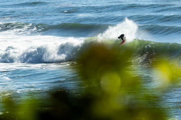 Mathea Olin surfing out of her skin at this powerful left.<p>Marcus Paladino</p>