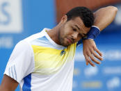 6. Jo-Wilfried Tsonga (France)