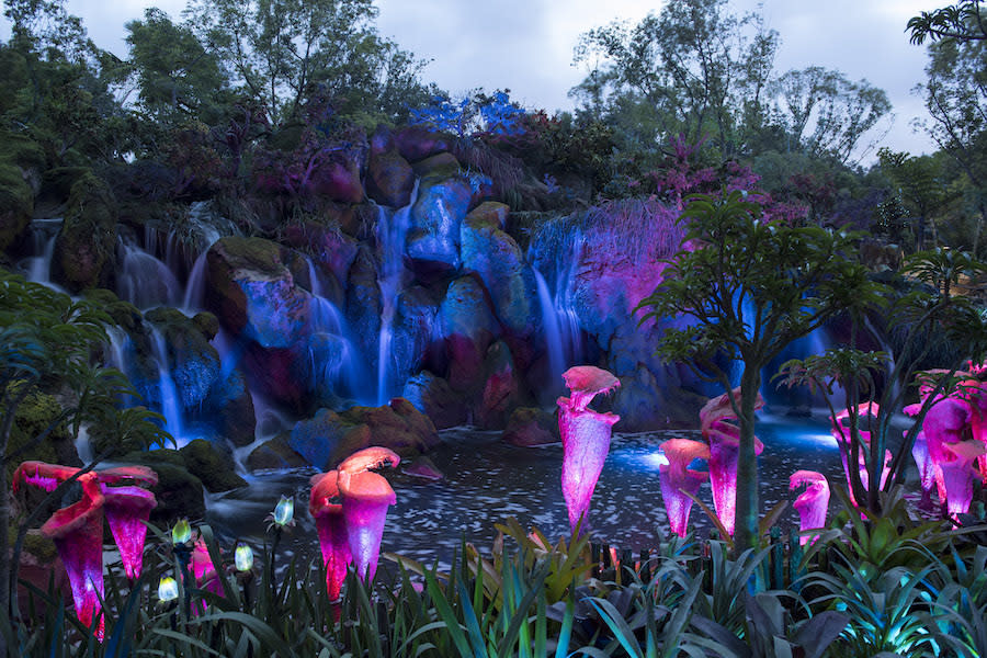 Pandora: the World of Avatar attraction at Walt Disney World