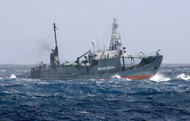 Despite international disapproval, Japan has hunted whales in the Southern Ocean for years under an exemption in the global whaling moratorium that allows for lethal research