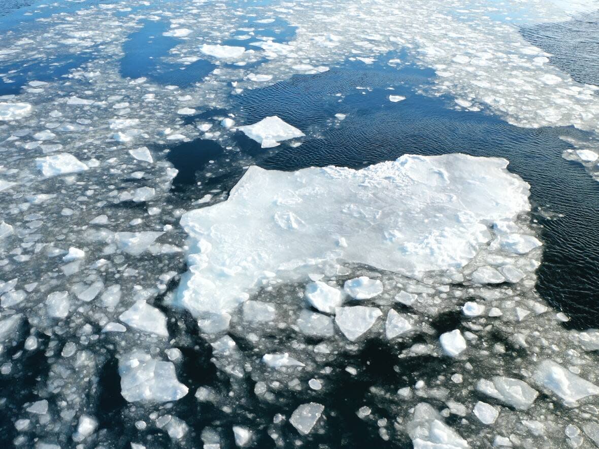 Sea ice is seen in March near Rigolet, Labrador. (Eldred Allen/Bird's Eye - image credit)