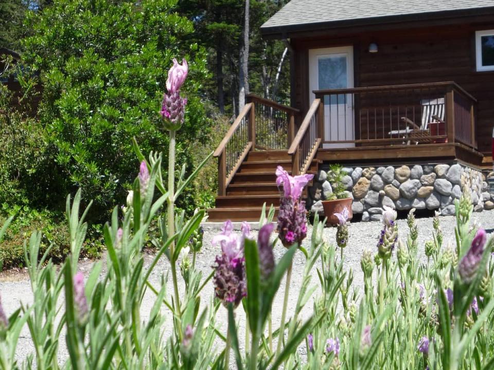 an Airbnb listing called Guest Studio Minutes from Mendocino in Mendocino, California