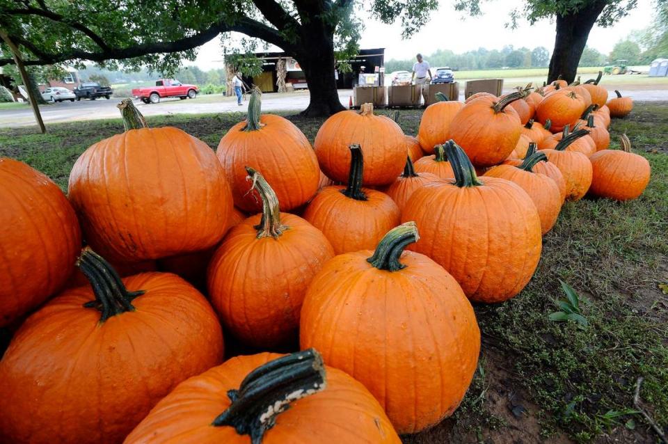 Pumpkin season at Carrigan Farms is from October 1-31.
