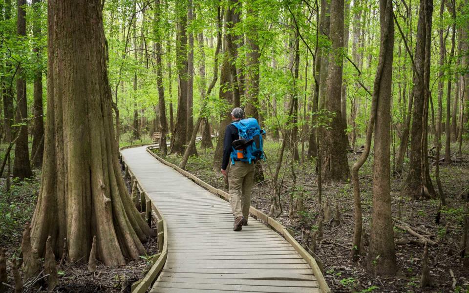 11. Congaree National Park, South Carolina