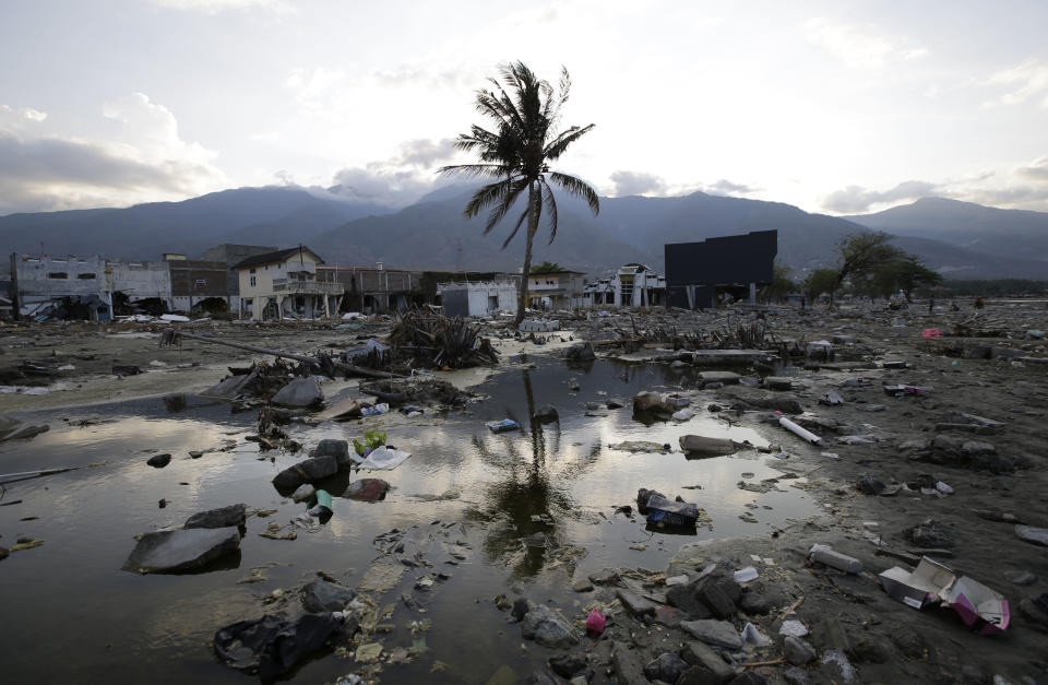 A lone tree stands in the debris from structures that were wiped out after a massive earthquake and tsunami hit Palu, Central Sulawesi, Indonesia Thursday, Oct. 4, 2018. Life is on hold for thousands living in tents and shelters in the Indonesian city hit by a powerful earthquake and tsunami, unsure when they'll be able to rebuild and spending hours each day often futilely trying to secure necessities such as fuel for generators. (AP Photo/Aaron Favila)