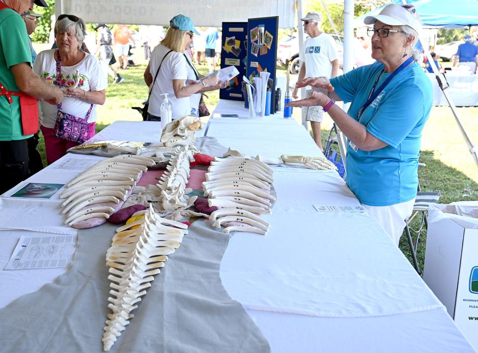 A volunteer from Manatee Park explains the skeleton of manatees during last year's Burrowing Owl Festival.