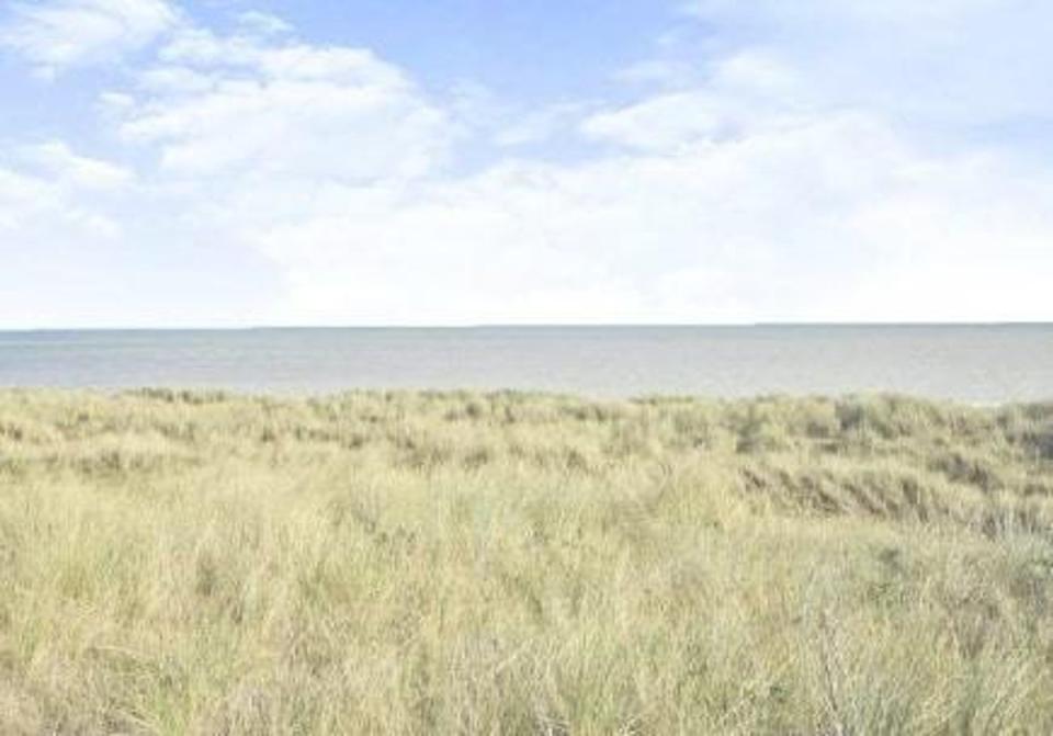 The view of Greatstone beach from the property Nigel Farage owns (Hollaway Studios)