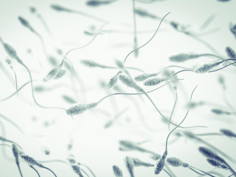 Exposure to air pollution may result in abnormally shaped sperm cells: Getty/iStock