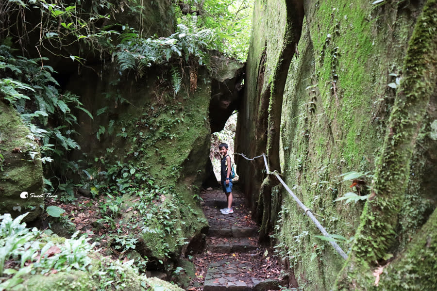 五指山橫向步道