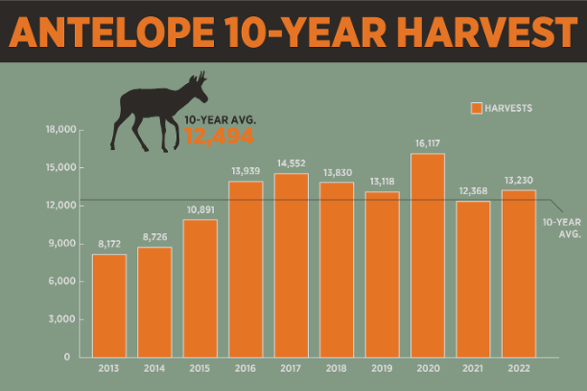 Pronghorn herd populations in Montana are forecast to recover from recent lows, but to remain at or below seasonal averages depending upon hunting district