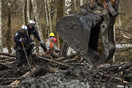 Rescuers watch carefully as an excavator combs through the large debris pile left by a mudslide in Oso, Washington, April 4, 2014. REUTERS/Max Whittaker