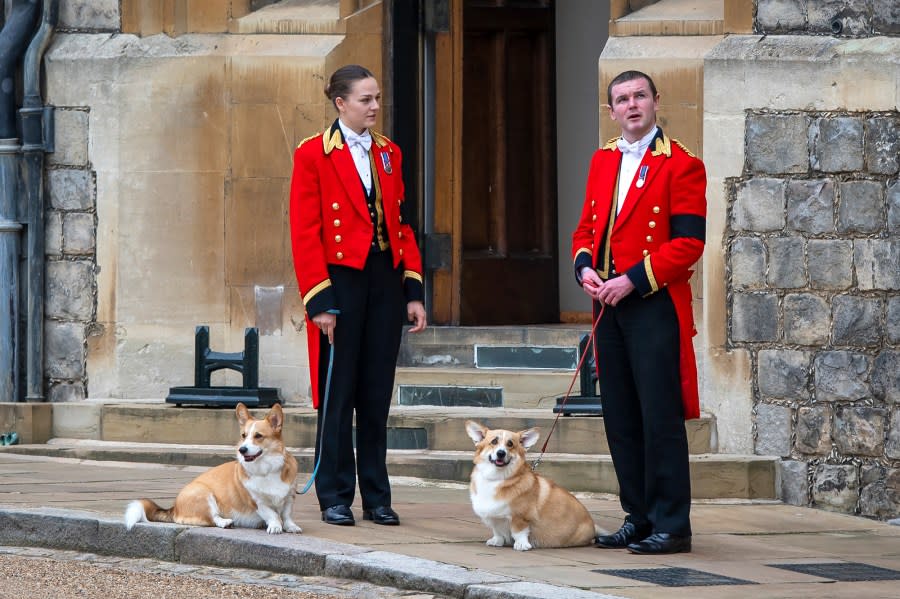 Sarah Ferguson Gives Us Pupdate on Taking Care of Her and Late Queen Dogs