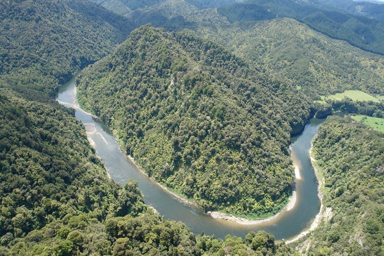 <span class="caption">The Whanganui river in New Zealand has been granted the same rights as humans.</span> <span class="attribution"><a class="link " href="https://commons.wikimedia.org/wiki/File:Cool_Bend_on_Whanganui_River_-_panoramio.jpg" rel="nofollow noopener" target="_blank" data-ylk="slk:Duane Wilkins;elm:context_link;itc:0;sec:content-canvas">Duane Wilkins</a>, <a class="link " href="http://creativecommons.org/licenses/by-sa/4.0/" rel="nofollow noopener" target="_blank" data-ylk="slk:CC BY-SA;elm:context_link;itc:0;sec:content-canvas">CC BY-SA</a></span>