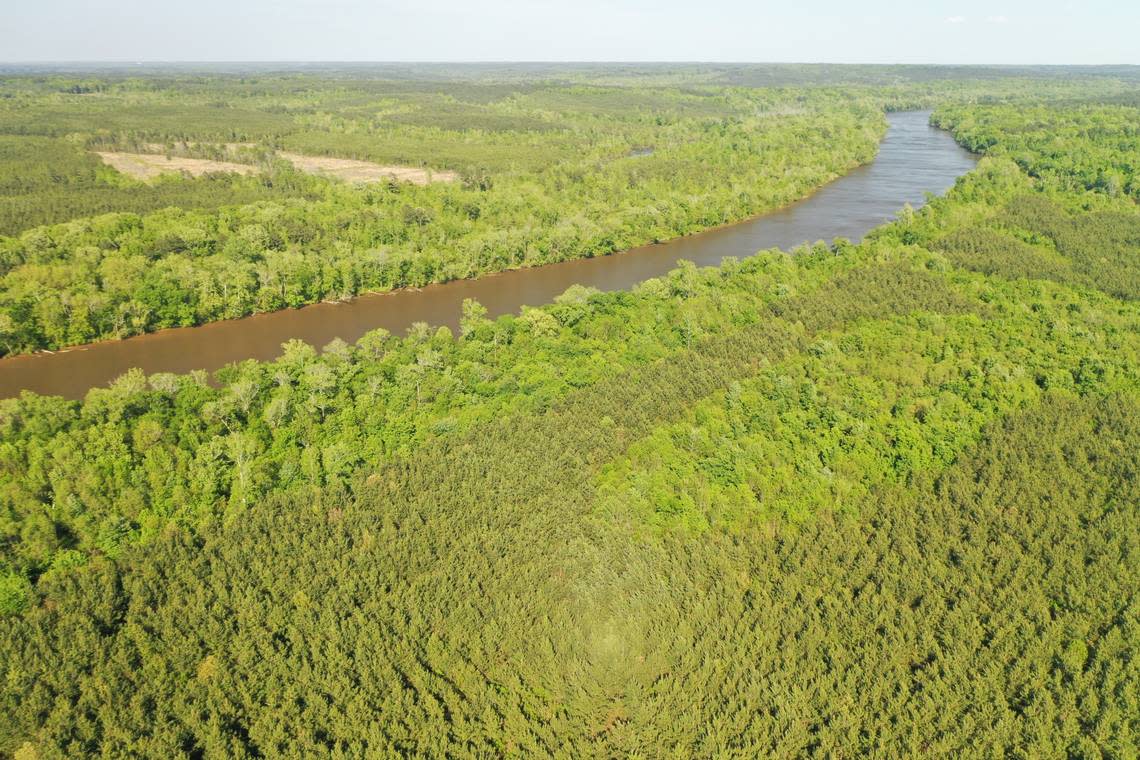 The Triangle Land Conservancy bought 665 acres of forest and wetlands along the Cape Fear River in Lee County in 2023. Protections have narrowed for North Carolina wetlands not directly connected to federally protected waterways. Margaret Fields, The Nature Conservancy