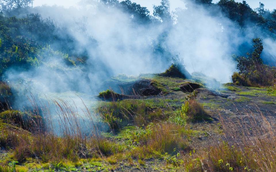 Kilauea hiking trail