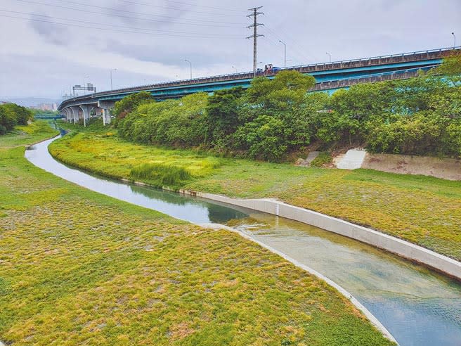 新北市板橋區湳仔溝整治後，如今綠油油一片。（葉書宏攝）