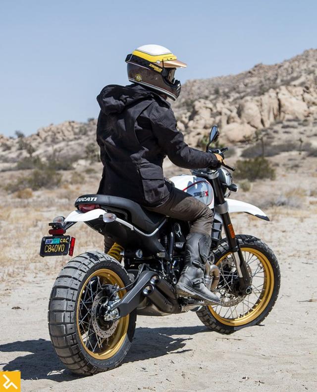 Ducati Scrambler Desert Sled - Got Roost?