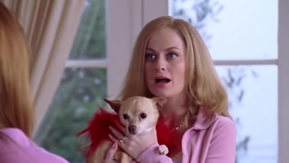 Amy Poehler in Mean Girls