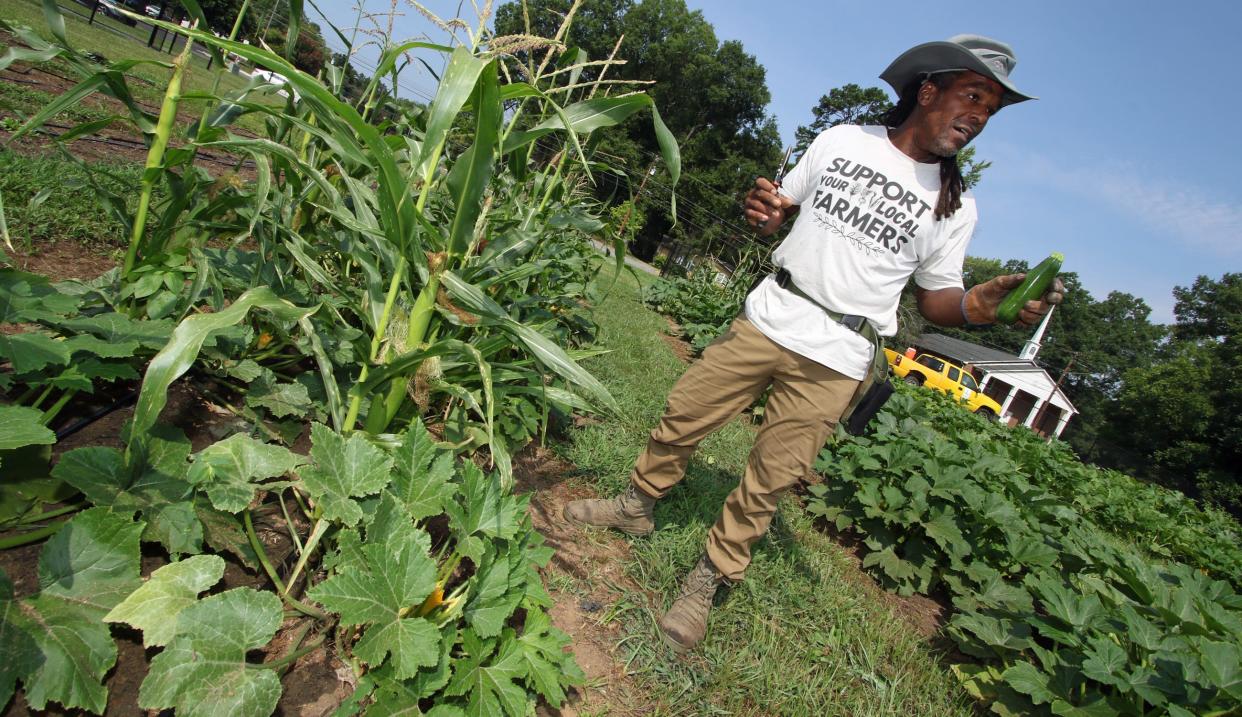 Wisdom Jzar works in the garden at the Dora Humphrey School Nutrition Center Tuesday morning, July 16, 2024, in Lowell.