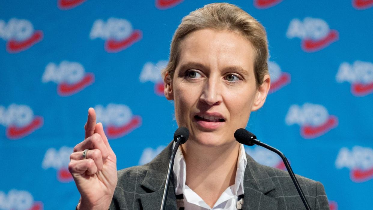 Eine Großspende bringt die AfD in Erklärungsnot. Im Zentrum der Diskussion: Alice Weidel. Foto: Hauke-Christian Dittrich