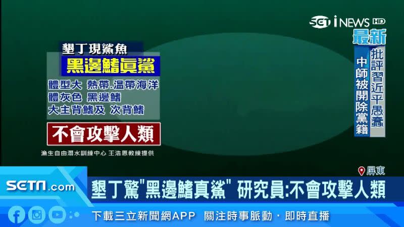 海生館說只要不要侵犯驚擾，黑邊鰭真鯊攻擊人類的機會低。（圖／王浩恩教練提供）