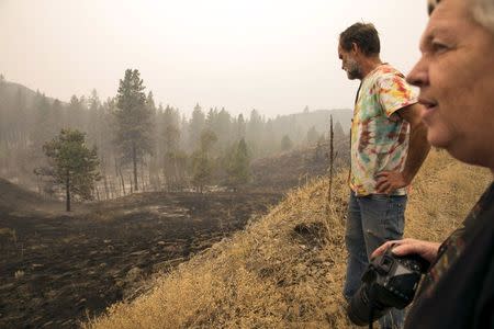 Pat Walker (L) and his wife Cindy Walker inspect some of the trees they had planted at a burnt area during the Okanogan Complex Fire near Tonasket, Washington, August 22, 2015. REUTERS/Jason Redmond