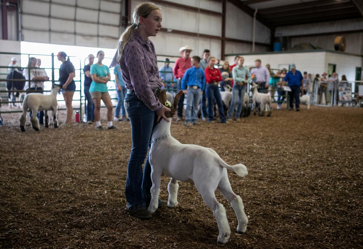 Take a look at the 2024 Ross County Fair schedule