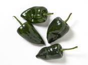 <p>These shiny, dark green beauties are a little spicy, but nothing crazy. Cooking them will mellow out their heat. In a dried form, they are called ancho chiles and can add a nice smokiness to a dish. Try them in <a href="https://www.delish.com/cooking/recipe-ideas/a27211458/chiles-rellenos-recipe/" rel="nofollow noopener" target="_blank" data-ylk="slk:Chiles Rellenos;elm:context_link;itc:0;sec:content-canvas" class="link ">Chiles Rellenos</a>.</p><p>Scoville heat units: 1,000-1,500</p>