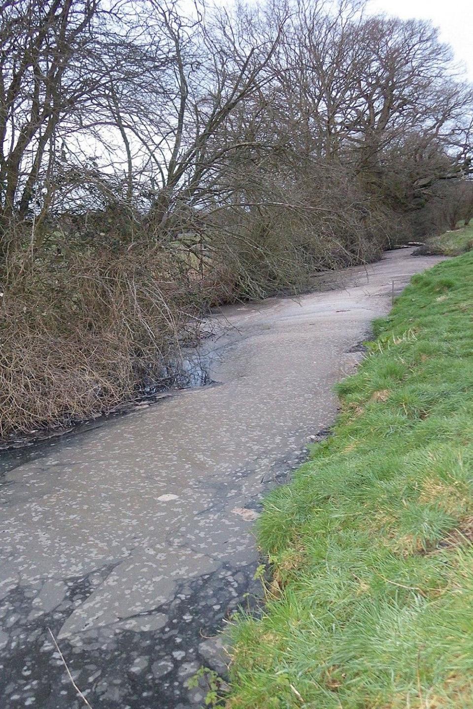 Scum in a ditch downstream of the Henley Sewage Treatment Works (Environment Agency/PA)